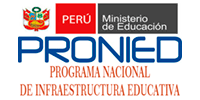 Pronied logo